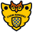 cham rangers logo